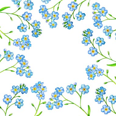 suluboya yabani çiçekler çiziyor