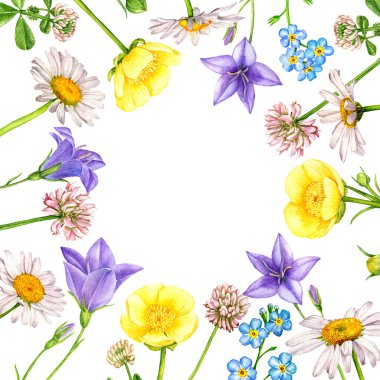 suluboya yabani çiçekler çiziyor