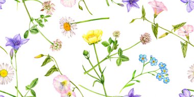 Sulu boyalı kusursuz desen yabani çiçekler çiziyor.