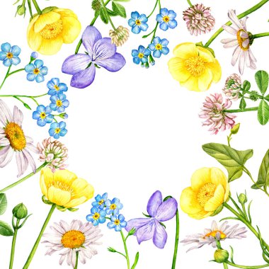 suluboya yabani çiçekler çiziyor