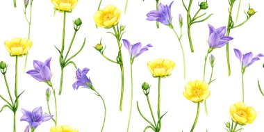 Sulu boyalı kusursuz desen yabani çiçekler çiziyor.