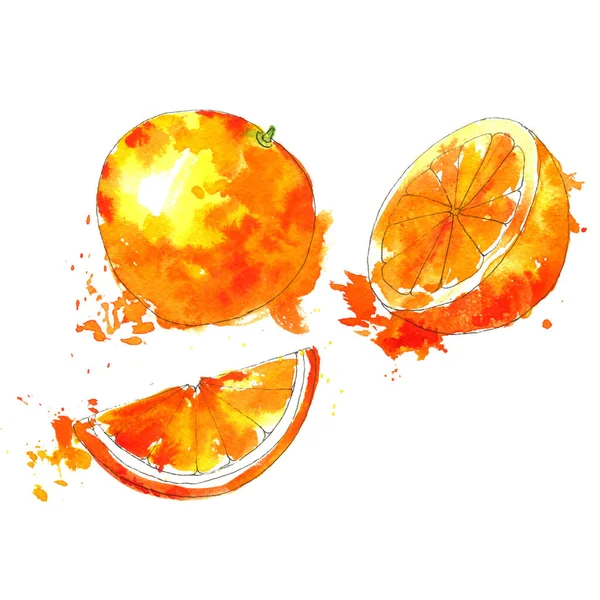 Watercolor drawing orange — Stock Photo, Image