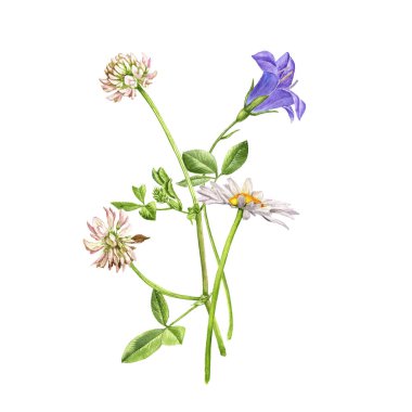 suluboya yabani çiçekler çiziyor