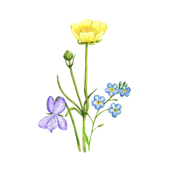 Акварельний малюнок диких квітів — стокове фото