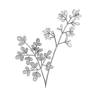 vektör çizim çubuğu ağacı