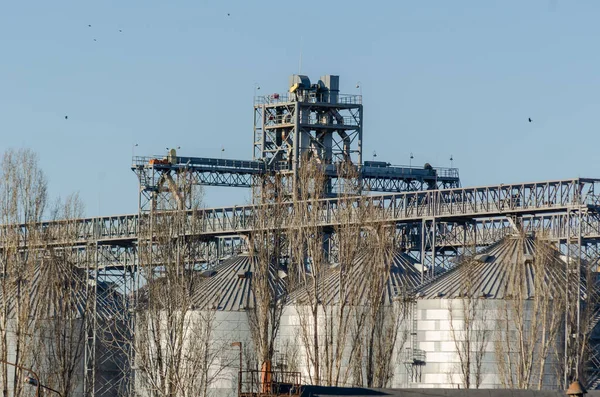 Modern Grain Terminal Ascensor Silo Para Almacenamiento Granos Líneas Transportadoras — Foto de Stock