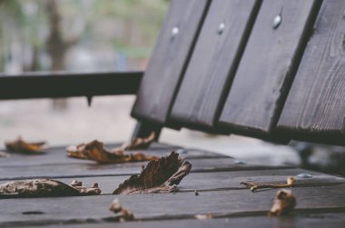 Kahverengi yapraklar boş bir park bankına düştü..