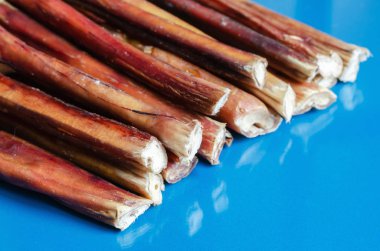 Standart Bully Sticks mavi arka planda. Kokusuz hayvanlar için doğal çiğneme tatlısı. Hayvan malzemeleri. Seçici odak.
