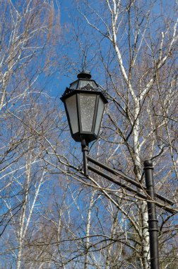 Spring Park 'taki sokak lambası. Ağaçların arka planında güzel bir fener ve mavi bir gökyüzü. Baharın ilk günleri şehir parkında. Seçici odaklanma. İnsanlar olmadan.