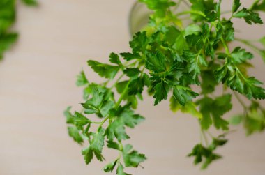 Yeşil kokulu maydanoz yaprakları. Çeşitli yemekler için taze malzemeler. Yukarıdan bak. Seçici odaklanma. Yakın plan. Bulanık arkaplan.