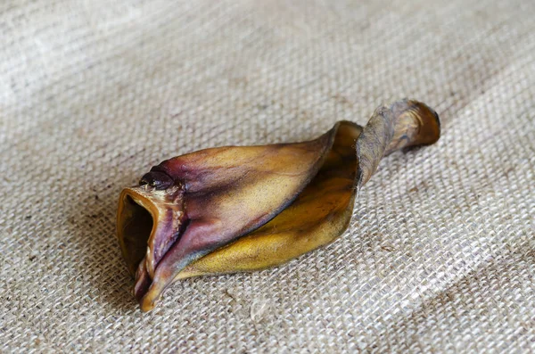 Oreja Vaca Seca Arpillera Masticar Golosinas Naturales Para Perros Tratamientos — Foto de Stock