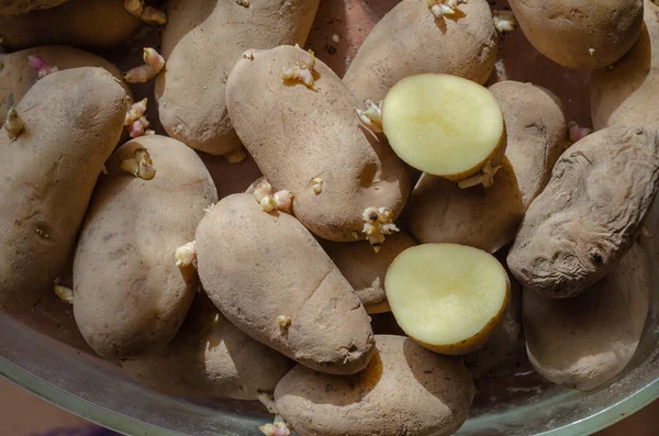 Duas Metades Batatas Recém Cortadas Uma Pilha Batatas Semente Com — Fotografia de Stock