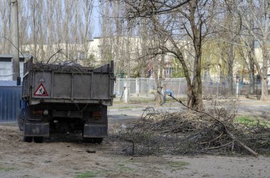 Kesik dalları kamyonla kaldırma işlemi. Yıllık kentsel ağaçların budanması. Peyzaj ve belediye işleri. Yan taraftaki bagaj kapısından kamyonun görüntüsü. Gerçek şehir hayatı. Seçici Odaklanma. İnsanlar olmadan.