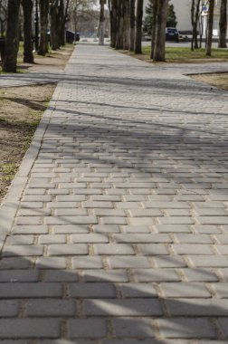 Spring City 'deki boş şehir parkı. Boş şehirde bahar güneşli bir gün. Ağaçların arasındaki insan olmayan patika. Zemin kat araştırması. Seçici odak.