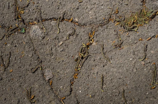 Pavé Asphalte Fissuré Près Vieille Ville Sentier Pédestre Avec Fissures — Photo