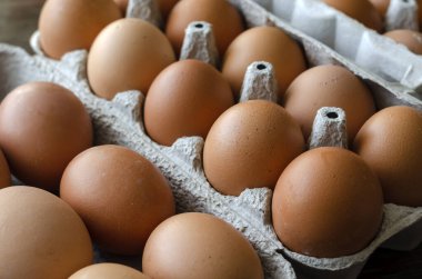 Tepside kahverengi tavuk yumurtası. Tepsiler dolusu çiğ çiftlik yumurtası. Geleneksel yemek. Yukarıdan bak. Seçici odak.