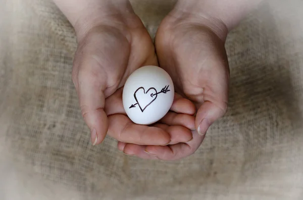 The symbol of love is painted on a chicken egg. Hands holding a raw egg with a heart and arrow symbol. Cherish the love. Top view at an angle. Close-up. Selective focus.