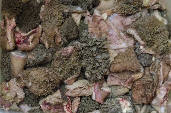 生の牛の胃の背景の作品 家畜犬に餌を与えるために部分にスライスされた牛肉のトリップ 残りの草とわらで新鮮な胃 餌やりのペット 上からの眺め 選択的焦点 — ストック写真