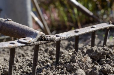 Yatakta kirli tırmık. Bahar ekimi süreci. Bahçe aletleri yakın plan. Gerçek hayat. Zemin katta çatışma. Yakın plan. Seçici odak.