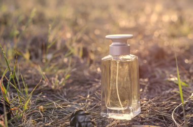 Bir şişe parfüm yerde koni ve iğnelerin arasında duruyor. Sabah ormanında yerde dikdörtgen cam şişe vardı. Parfüm ürünleri. Yakın plan. Seçici odak.