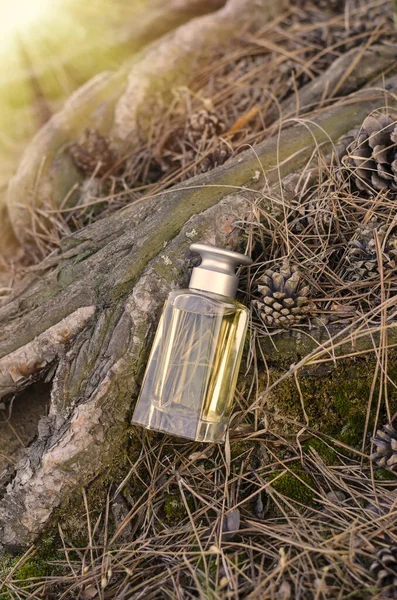Flacon Parfum Parmi Les Racines Des Cônes Des Aiguilles Bouteille — Photo