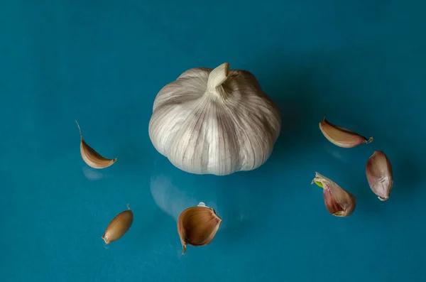 Alho Fresco Sobre Fundo Turquesa Uma Única Cabeça Alho Seis — Fotografia de Stock