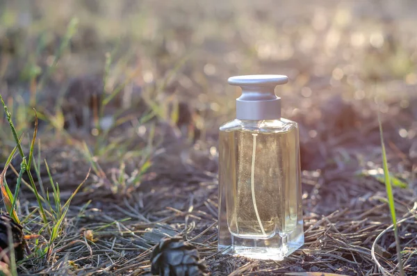 Une Bouteille Parfum Tient Sur Sol Entre Les Cônes Les — Photo