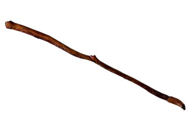 Dried bully stick king size. Dried bull penis in its entirety. Natural chewing treats for dogs. View from above. Pet supplies. Isolate on a white background.