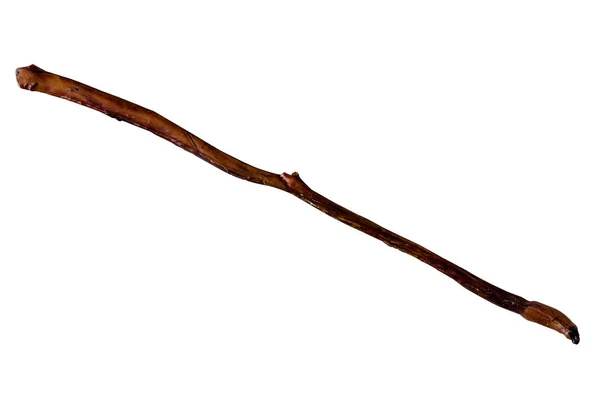 Dried Bully Stick King Size Pene Toro Seco Totalidad Masticar —  Fotos de Stock
