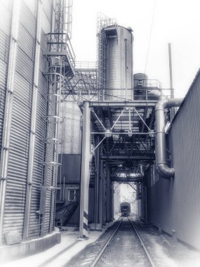 Modern tahıl terminalinde demiryolu. Modern bir limanın tahıl terminali. Daha fazla ihracat için tren vagonlarıyla tahıl yığınlarının teslimatı. Lojistik ve ticaret.