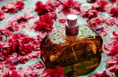 Bordo yaprakları arasında bir şişe parfüm. Yüzen yaprakların arasında bir damla su bulunan turuncu cam şişe. Seçici odaklanma. Yakın plan..