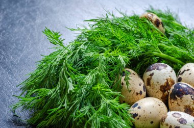 Çiğ bıldırcın yumurtası ve bir demet taze dereotu. Bir grup taze yumurta ve mis kokulu dereotu. Salata yapmak için gerekli malzemeler. Düşük kalorili sağlıklı yiyecekler. Yakın plan..