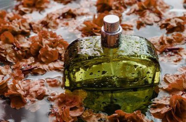 Portakal yaprakları arasında parfüm şişesi. Cam şişe parfüm ve taç yaprakları. Cama damlatır ve su sıçratır. Parfüm ve kozmetik. Yakın plan. Seçici odak.