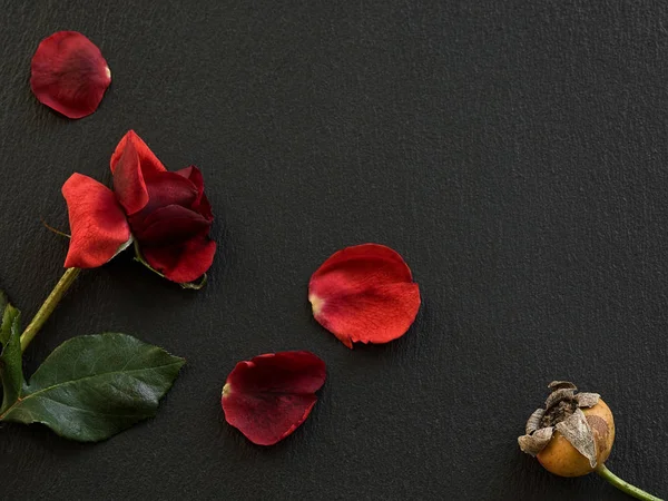 Rosa rossa e petali di rosa si trovano su uno sfondo di pietra nera. Spazio per il testo. Vista dall'alto. Concetto di cartolina . — Foto Stock