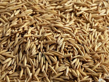 Tahta bir masada yulaf ezmesi ve mısır gevreği. Yakın plan..