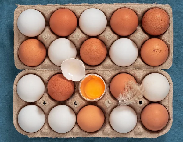 Chicken eggs in the carton box. Chicken egg is half broken among other eggs, eggshell and chicken feather near. Top view. — Stock Photo, Image