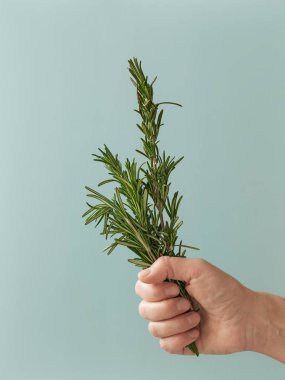 Kollarında taze biberiye olan kadınlar. Kapat, nane rengi arkaplan.