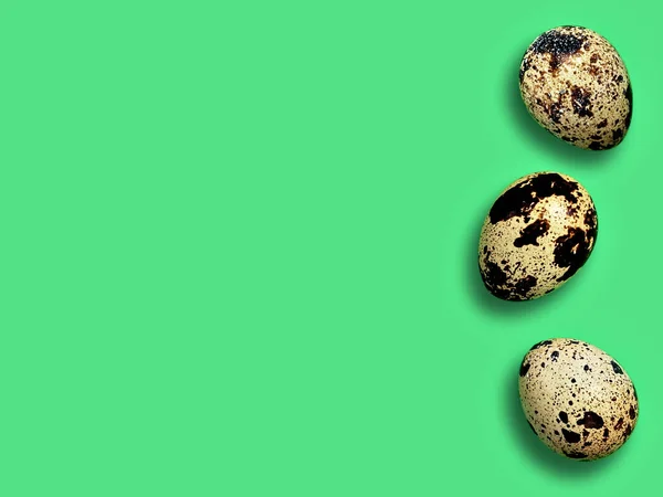 Three fresh organic quail eggs isolated on mint color background. Top view, copy space for text. — Stock Photo, Image