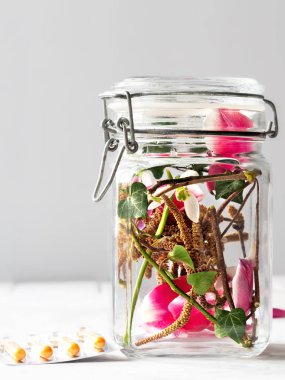 Mevsimlik bahar ve yaz polen alerjisi kavramı. Alerjenler cam bir kavanozun içinde, masada alerji tedavisi için tabletler ya da kapsüller var. Yakın plan..