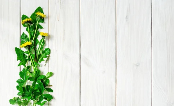 Dandelions, spring wildflowers on a wooden white background, layout with copy space, decor. Fresh Salad Ingredients, Healthy Vegetarian Food, detox — Stock Image Dandelions Spring Wildflowers Wooden White Background Layout Copy Space Decor Royalty Free Stock Photos