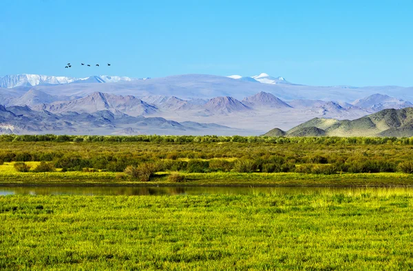 Дикий монгольский пейзаж — стоковое фото