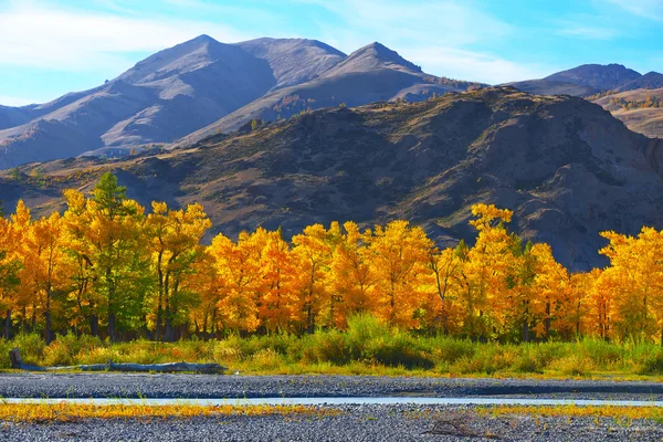 Temporada de otoño en las montañas — Foto de Stock