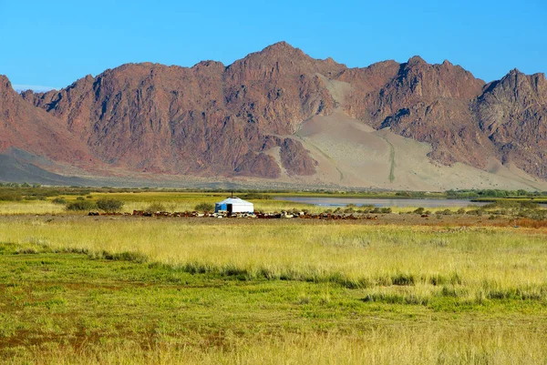 Mongol nomad yurt — Stock Photo, Image