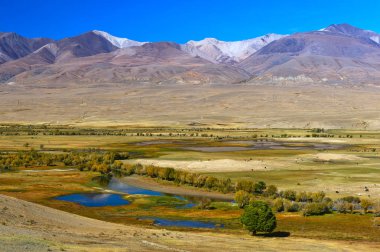 Altay Dağları peyzaj