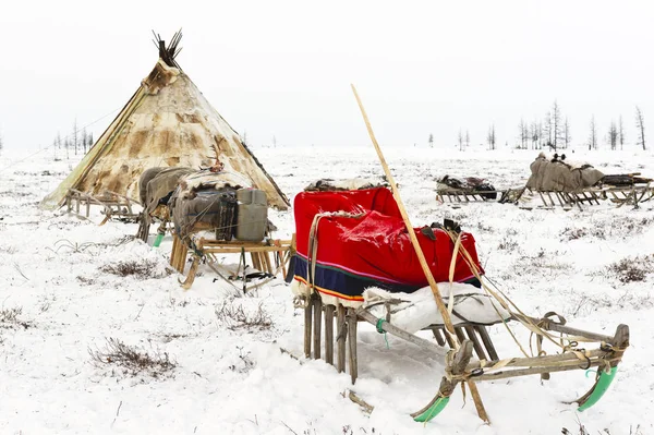 Campo de tribo nômade na tundra polar — Fotografia de Stock
