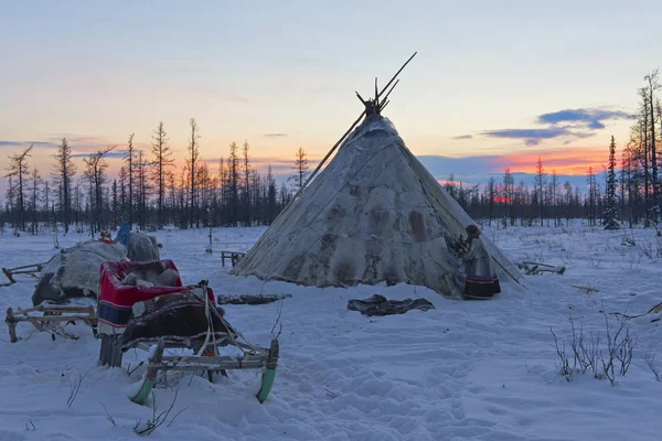 Chum de tribu nomade à l'aube — Photo