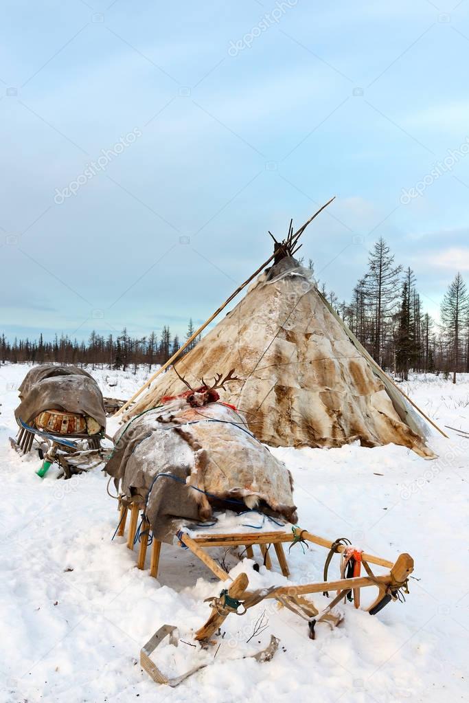 Camp of nomadic tribe in the polar tundra at a frosty day.