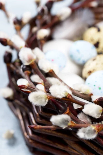 Décoration de Pâques avec des branches de saule en fleurs et des œufs colorés dans un panier — Photo