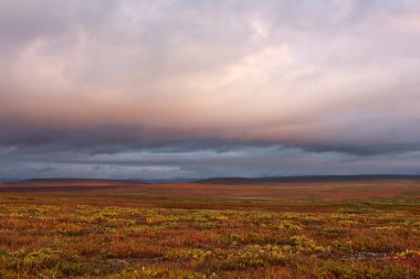 Tundra Tabiat Manzarası