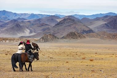 Altın Kartal ile bilinmeyen huntsman göstermek onun deneyim içinde Şahinle.